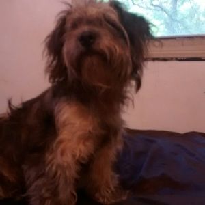 Meet your Posher, Tony